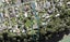 8 Cliff View Drive, Green Bay, Auckland - Carousel 1