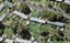 25 Maybury Street, Point England, Auckland - Carousel 1