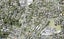 2/23 Philson Terrace, Browns Bay, Auckland - Carousel 1