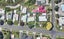 38 Alexander Avenue, Whakatane, Whakatane - Carousel 1