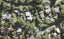 191 Wade River Road, Wade Heads, Whangaparaoa - Carousel 1