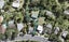 229A Golf Road, Titirangi, Auckland - Carousel 1