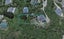 33 Cave Road, Houghton Bay, Wellington - Carousel 1