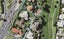 10 Vesca Place, Golflands, Auckland - Carousel 1