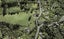 98A Hobson Road, Lucas Heights, Auckland - Carousel 1