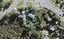 1048 East Coast Road, Fairview Heights, Auckland - Carousel 1