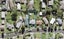 20 Cutler Street, New Lynn, Auckland - Carousel 1