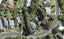 39 Derwent Crescent, Titirangi, Auckland - Carousel 1