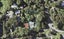 39 Rewa Road, Maraetai, Auckland - Carousel 1