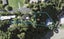 65 Pohutukawa Avenue, Shelly Park, Auckland - Carousel 1