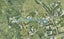 4G Penny Place, Welcome Bay, Tauranga - Carousel 1