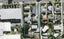 49 Totara Road, Te Atatu Peninsula, Auckland - Carousel 1