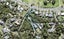 87 Roberts Road, Matakatia, Whangaparaoa - Carousel 1