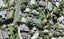 1/75 Hebron Road, Waiake, Auckland - Carousel 1