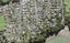 15E Cleve Road, Green Bay, Auckland - Carousel 1