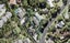 119 Cliff View Drive, Green Bay, Auckland - Carousel 1