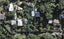 7 Omiha Road, Omiha, Waiheke Island - Carousel 1