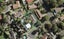 3 Gulliver Place, Conifer Grove, Takanini - Carousel 1