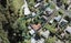 26 Abbotleigh Avenue, Te Atatu Peninsula, Auckland - Carousel 1