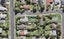 1D Castleton Street, Birkdale, Auckland - Carousel 1