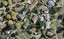 38 Kindergarten Drive, Conifer Grove, Takanini - Carousel 1