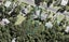 45 Minnehaha Avenue, Titirangi, Auckland - Carousel 1