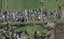 43A Springs Road, Parakai, Helensville - Carousel 1