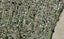 38 Kawiti Avenue, Point England, Auckland - Carousel 1