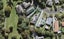 32 Sherwood Avenue, Te Atatu South, Auckland - Carousel 1