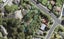 50 Kaurilands Road, Titirangi, Auckland - Carousel 1