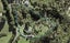 149 O'Brien Road, Albany - Carousel 1