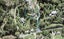 22 Hobbs Road, Matakatia, Whangaparaoa - Carousel 1