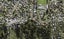366A Hillsborough Road, Hillsborough, Auckland - Carousel 1