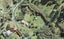 1166 EAST COAST Road, Redvale, Auckland - Carousel 1