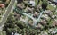29A Ambury Road, Mangere Bridge, Auckland - Carousel 1