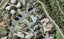 1/77 Frank Nobilo Drive, Golflands, Auckland - Carousel 1