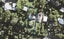 213 Wade River Road, Wade Heads, Whangaparaoa - Carousel 1