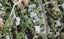 31 Derwent Crescent, Titirangi, Auckland - Carousel 1