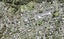 1/74 Godley Road, Green Bay, Auckland - Carousel 1