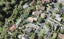 35 John Gill Road, Shelly Park, Auckland - Carousel 1