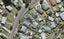 37 Mountain Road, Mangere Bridge, Auckland - Carousel 1