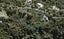 15 Primrose Lane, Lucas Heights, Auckland - Carousel 1