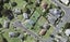 1 Mahinga Kai Way, Belmont, Auckland - Carousel 1