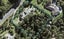 273 Paremoremo Road, PAREMOREMO, AUCKLAND - Carousel 1