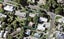 11A Glover Road, St Heliers, Auckland - Carousel 1