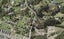 242 Point View Drive, East Tāmaki Heights, Auckland - Carousel 1