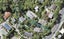 171 Browns Bay Road, Browns Bay, Auckland - Carousel 1