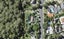 1 Saddleback Rise, Murrays Bay, Auckland - Carousel 1