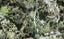 18A Hobbs Road, Matakatia, Whangaparaoa - Carousel 1