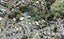 51A Godley Road, Green Bay, Auckland - Carousel 1
